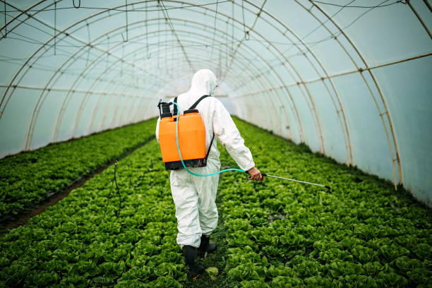 Best Affordable Pest Control Services  in Ellaville, GA