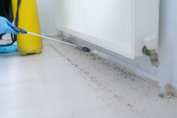 Best Commercial Pest Control Services  in Ellaville, GA
