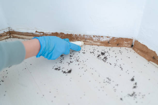 Best Termite Control Services  in Ellaville, GA